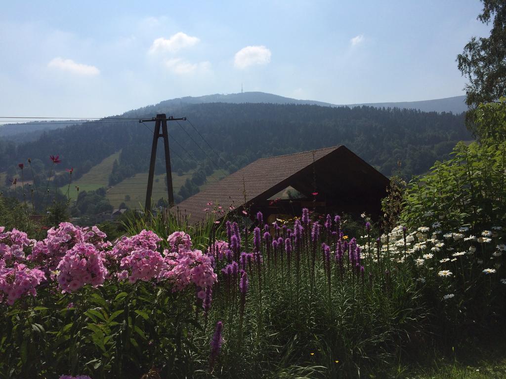 Willa Wierchy Szczyrk Esterno foto