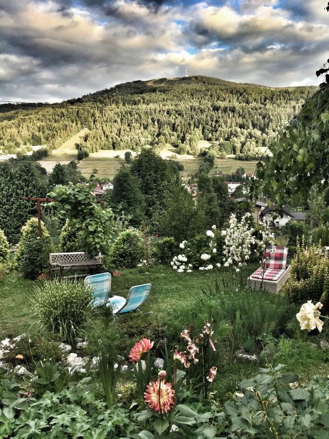 Willa Wierchy Szczyrk Esterno foto